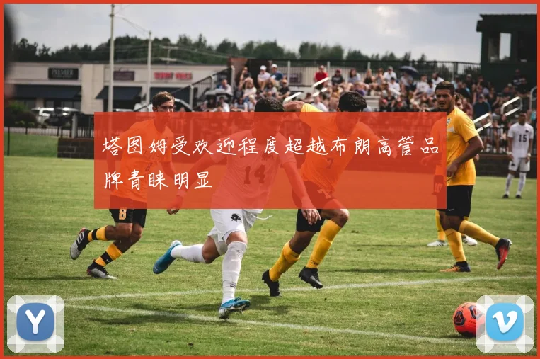 塔图姆受欢迎程度超越布朗高管品牌青睐明显