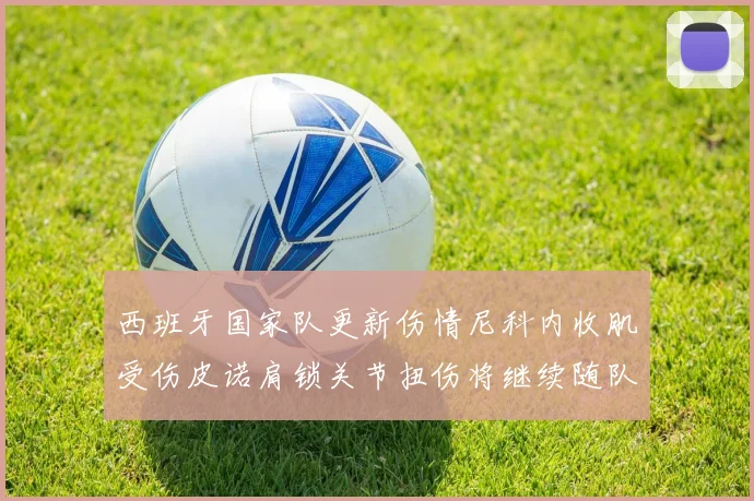 西班牙国家队更新伤情尼科内收肌受伤皮诺肩锁关节扭伤将继续随队训练